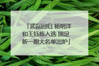 武磊回归 杨明洋和王钰栋入选 国足新一期大名单出炉